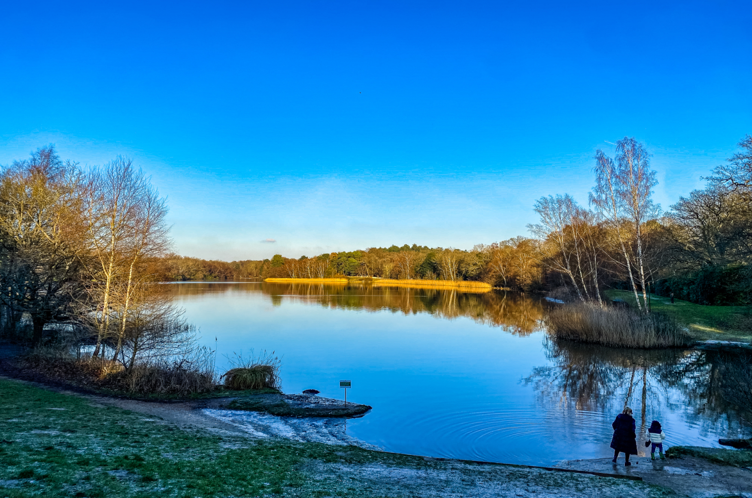 A parent and child walking by a tranquil lake surrounded by trees during sunset